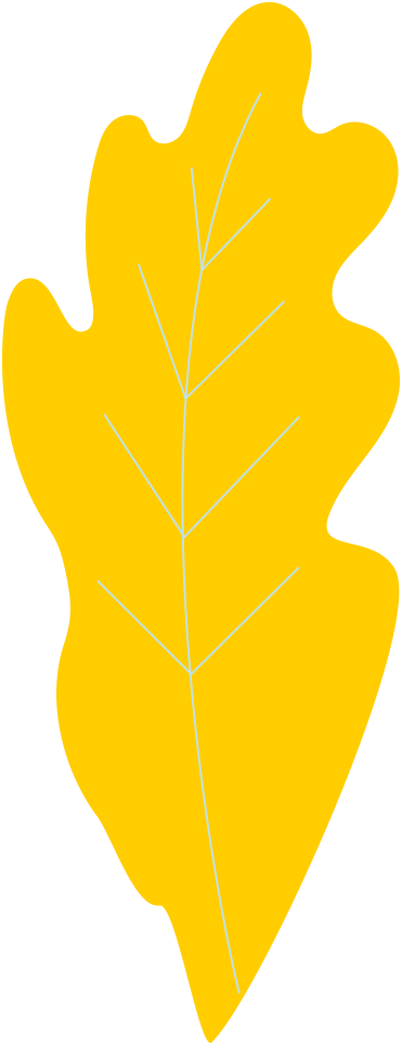 FEUILLE-JAUNE-2.png
