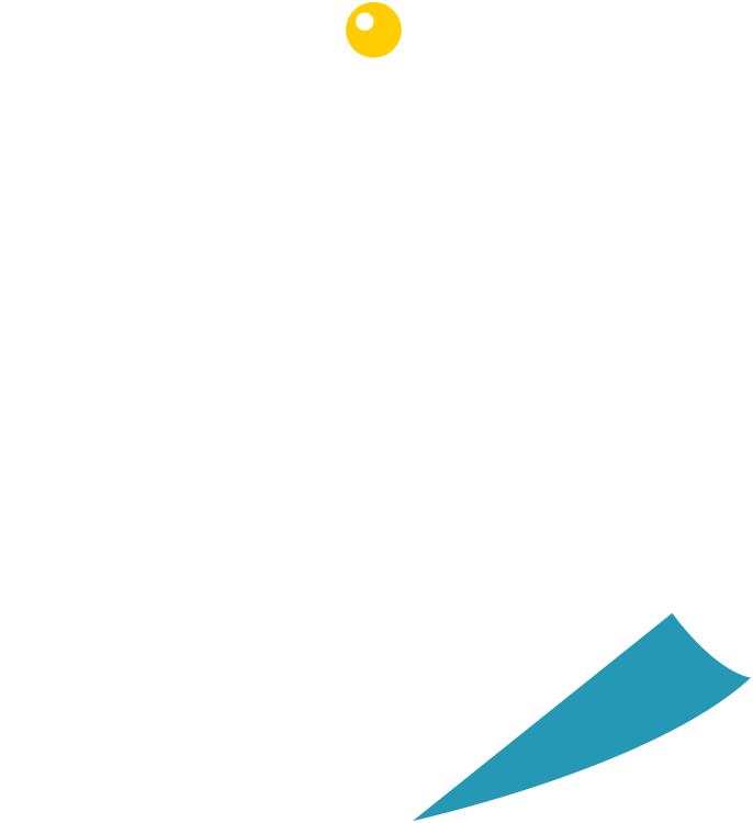 feuille-volantepng