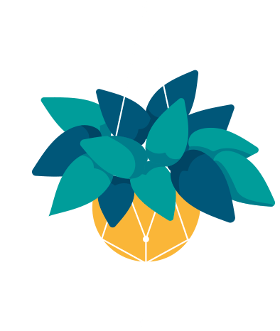10-PLANTE-1.png