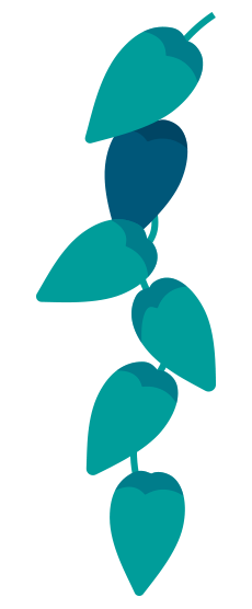10-PLANTE-2.png