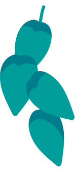 10-PLANTE-3png
