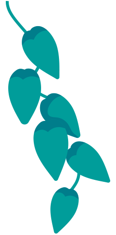 10-PLANTE-5.png