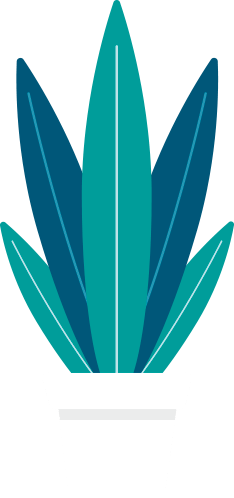 POT-DE-FLEURpng