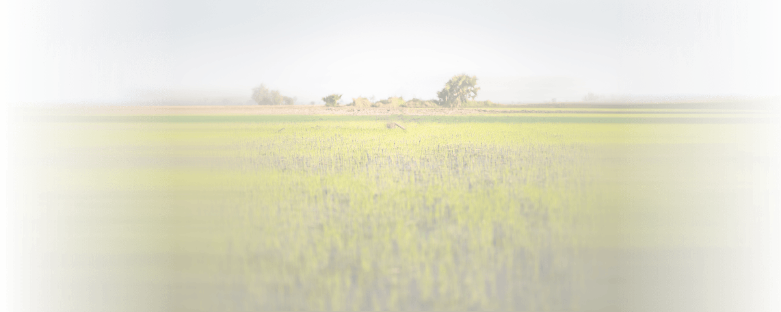 02-fond le groupe AFD en 2019 copy