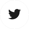 twitterpng