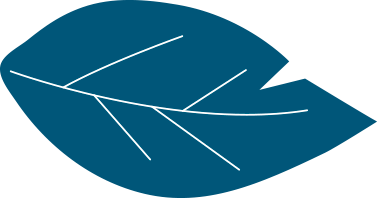 feuille-bleu-fonce copy