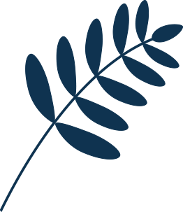 plante-bleu-fonce copy