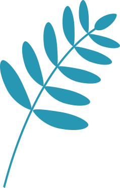 plante-bleu-clair copy